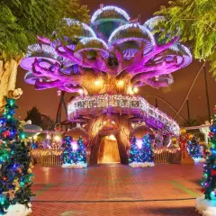 Árboles de Navidad iluminados y decorados en PortAventura en Navidad, con un árbol central gigante y luces festivas.