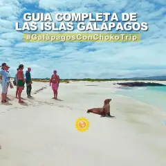 Un grupo de turistas observa un lobo marino en una playa de arena blanca en las Islas Galápagos. ¡Una aventura inolvidable para viajar a Galápagos!