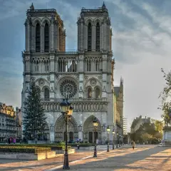La entrada a Notre Dame, con un árbol de Navidad iluminado y la luz dorada del atardecer.