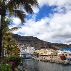Palmeras y un canal en un pueblo costero de Las Palmas de Gran Canaria, con casas blancas y montañas al fondo.
