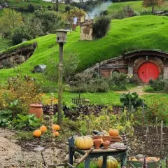 Un jardín exuberante en Hobbiton, Nueva Zelanda, con calabazas y flores, y una casa hobbit con puerta roja.