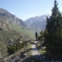 Senderista explora las impresionantes rutas del Vall de Núria, rodeado de montañas verdes y picos nevados.