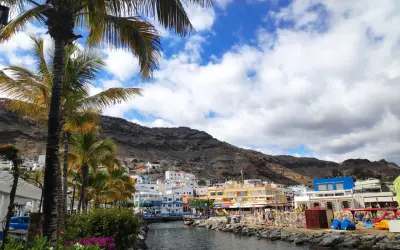 Palmeras y un canal en un pueblo costero de Las Palmas de Gran Canaria, con casas blancas y montañas al fondo.