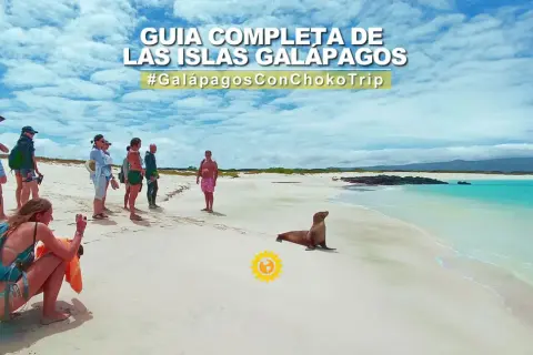 Un grupo de turistas observa un lobo marino en una playa de arena blanca en las Islas Galápagos. ¡Una aventura inolvidable para viajar a Galápagos!