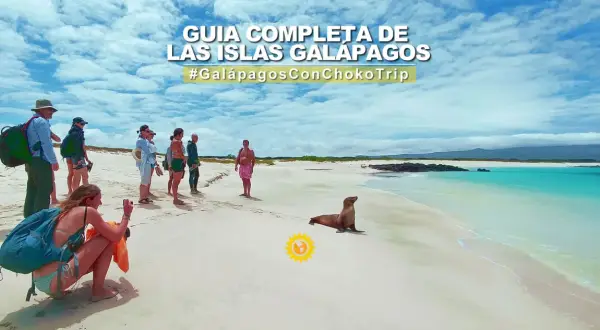 Un grupo de turistas observa un lobo marino en una playa de arena blanca en las Islas Galápagos. ¡Una aventura inolvidable para viajar a Galápagos!