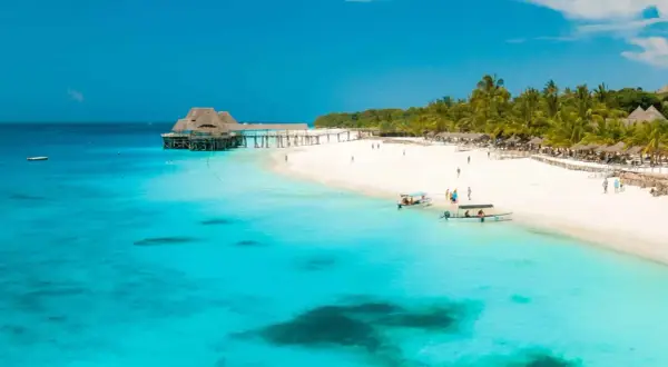 Playa paradisíaca en Tanzania y Zanzibar con aguas turquesas, palmeras y un muelle con techo de paja.