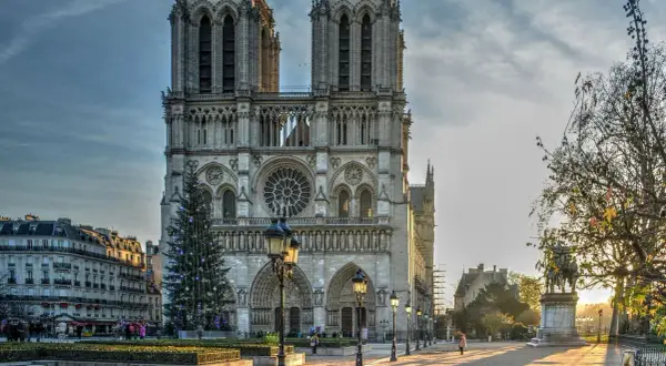 La entrada a Notre Dame, con un árbol de Navidad iluminado y la luz dorada del atardecer.