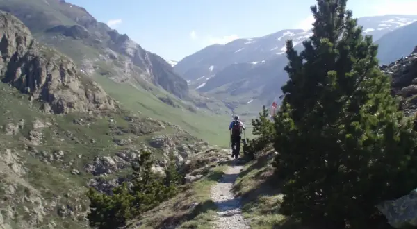 Senderista explora las impresionantes rutas del Vall de Núria, rodeado de montañas verdes y picos nevados.