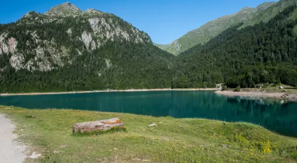 Paisaje sereno de los lagos de Ayous, con montañas cubiertas de pinos y un lago turquesa.