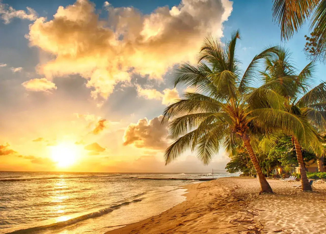 Playa tropical con palmeras y atardecer dorado. Ideal para saber donde viajar en noviembre que haga calor y disfrutar del sol.