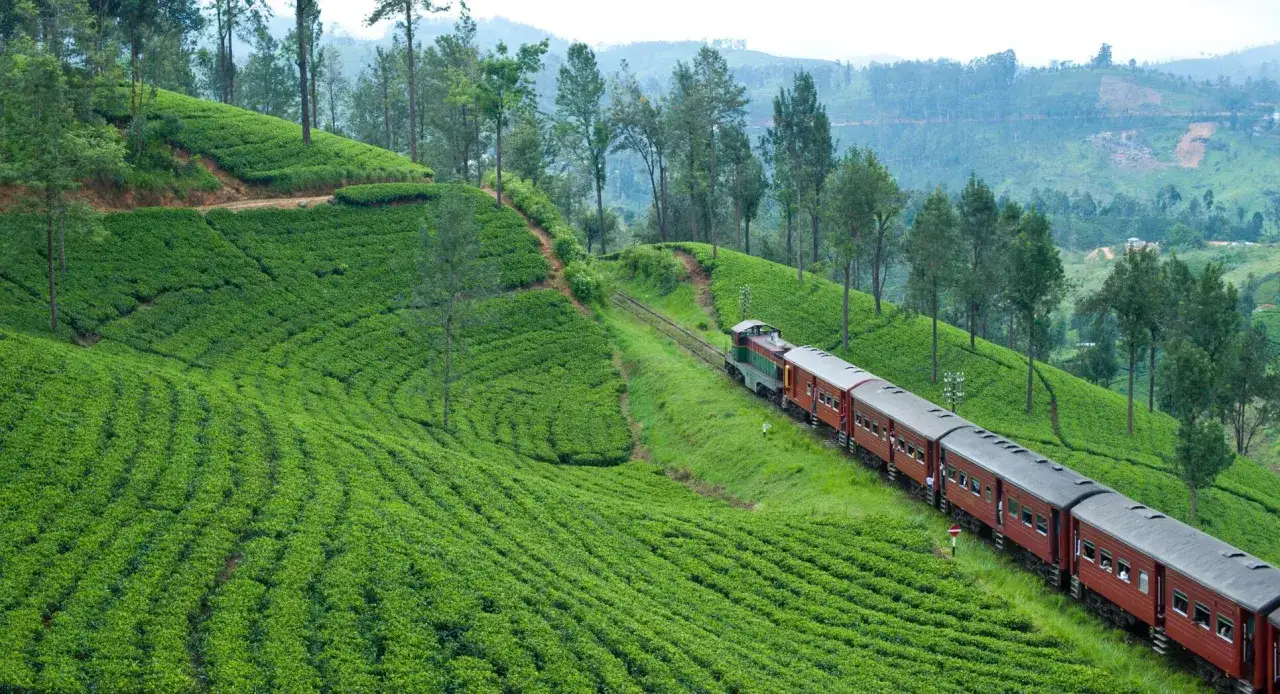 Un tren rojo serpentea por exuberantes plantaciones de t&eacute; en Sri Lanka, un paisaje verde y monta&ntilde;oso.