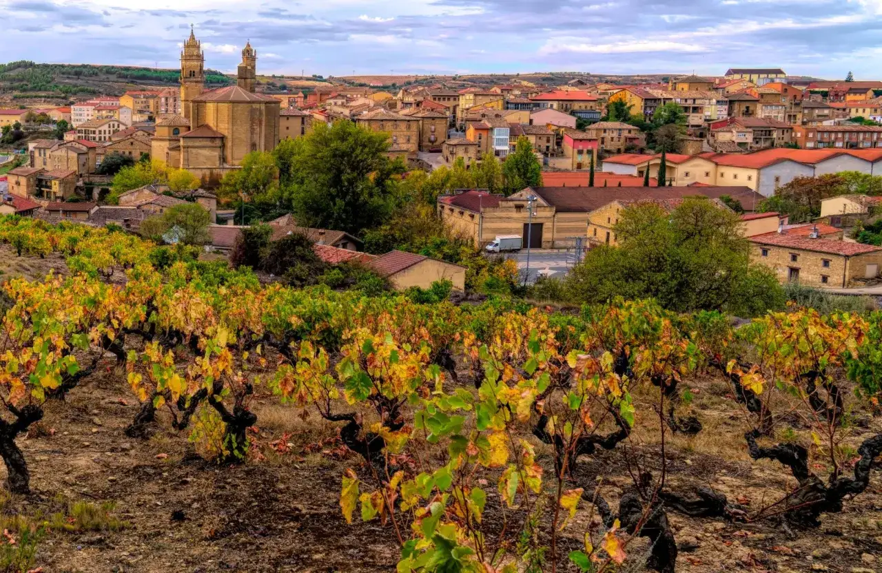 Vi&ntilde;edos oto&ntilde;ales con hojas amarillas y verdes, con un pueblo al fondo. Un lugar perfecto que ver en &Aacute;lava para disfrutar del paisaje.