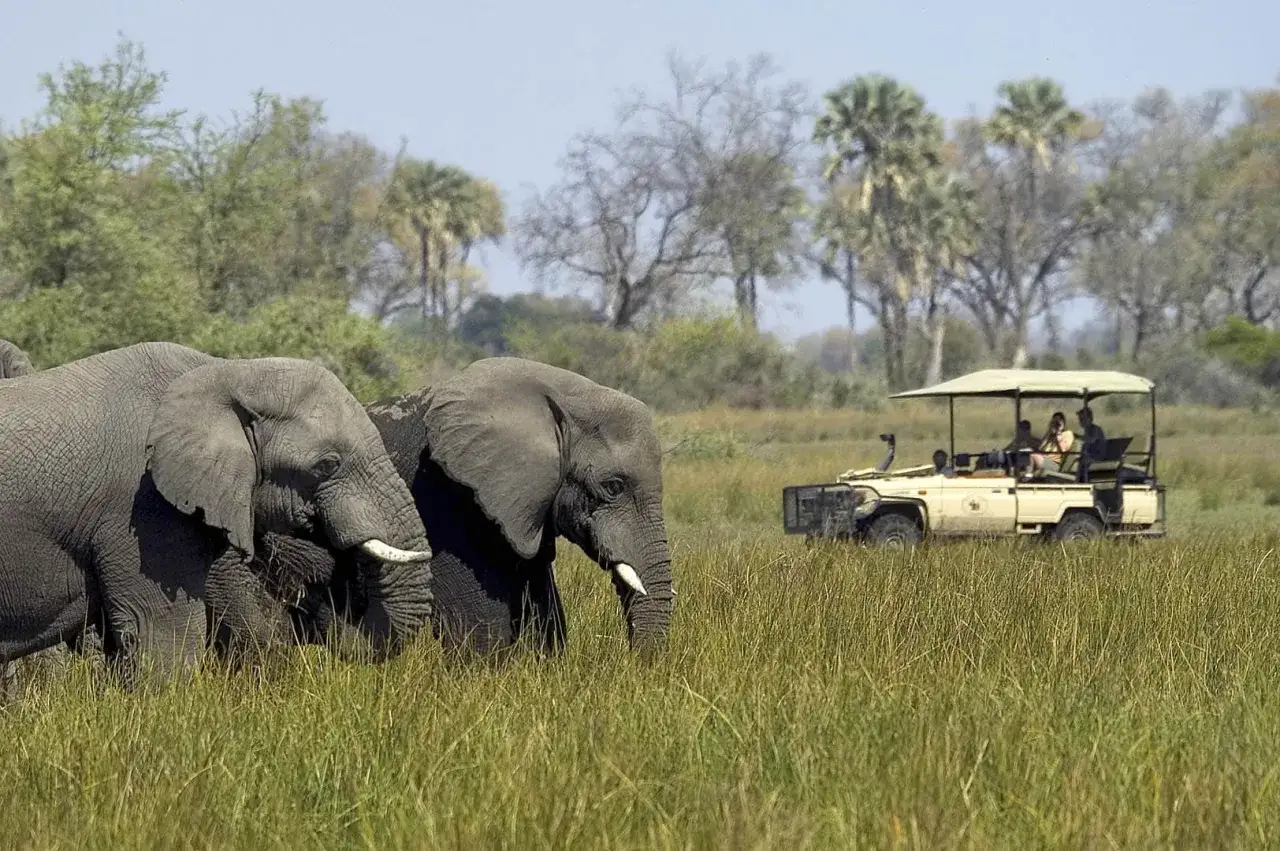 Dos elefantes caminan en la sabana mientras un veh&iacute;culo de safaris con turistas los observa. Una experiencia inolvidable de safaris en &Aacute;frica.