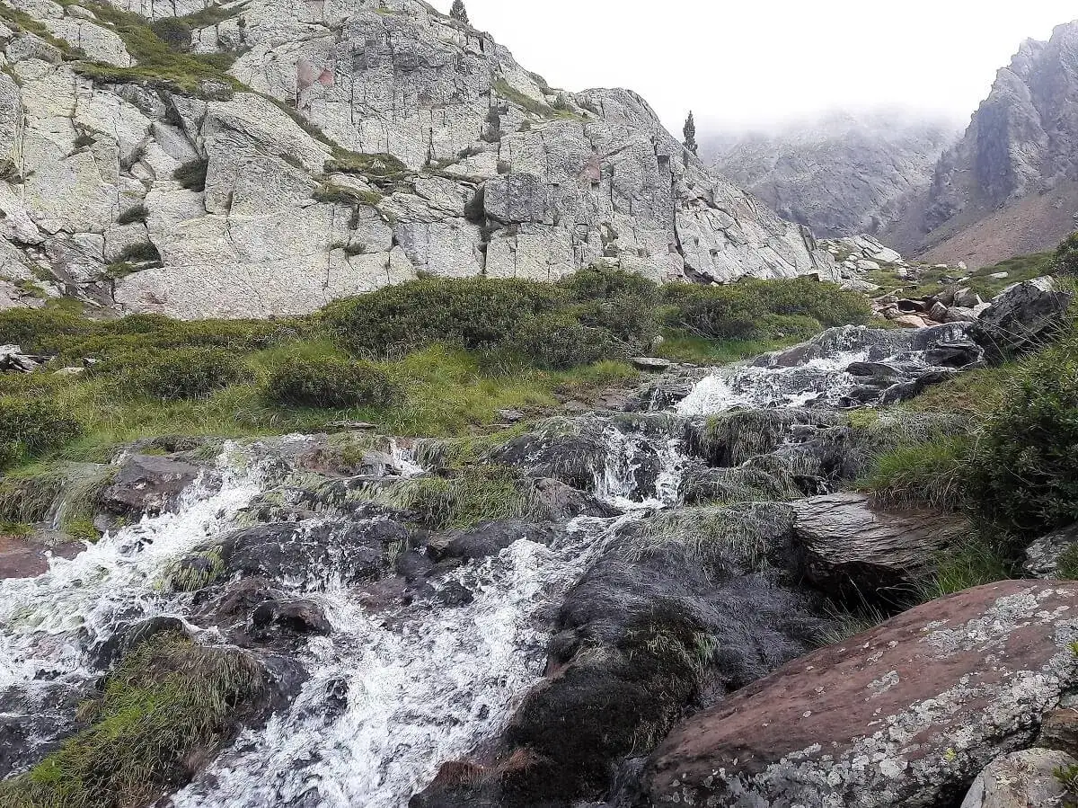 Cascada en la pica d'estats, ruta fácil. Agua cristalina desciende por rocas y vegetación, un paisaje montañoso sereno.