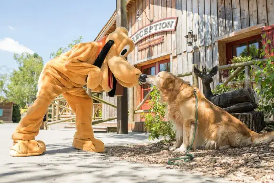 Davy Crockett Ranch - ¿Te conviene este alojamiento en Disneyland?