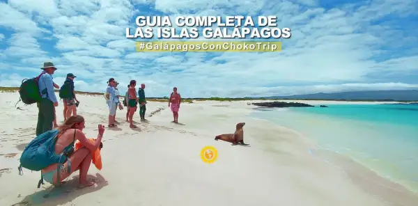 Un grupo de turistas observa un lobo marino en una playa de arena blanca en las Islas Galápagos. ¡Una aventura inolvidable para viajar a Galápagos!