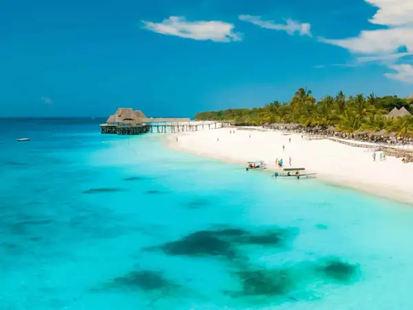Playa paradisíaca en Tanzania y Zanzibar con aguas turquesas, palmeras y un muelle con techo de paja.