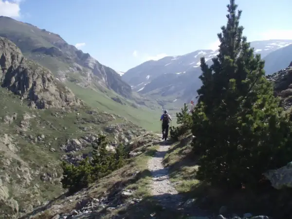 Senderista explora las impresionantes rutas del Vall de Núria, rodeado de montañas verdes y picos nevados.